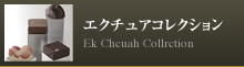 エクチュアコレクション