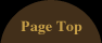 Page Top