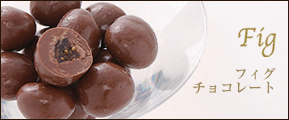 フィグチョコレート