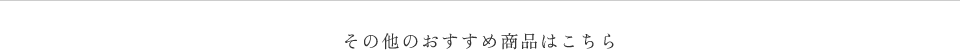 その他のおすすめ商品はこちら